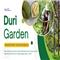 Duri Garden - Trải nghiệm thiên nhiên - Thưởng thức sầu riêng hữu cơ